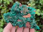 Natural Dioptase on Dolomite Specimens x 2 From Likasi, Congo - Toprock Gemstones and Minerals 