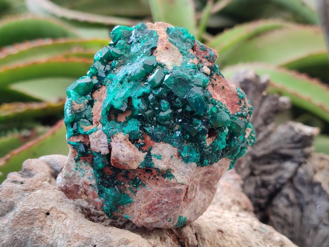 Natural Dioptase on Dolomite Specimens x 2 From Likasi, Congo - Toprock Gemstones and Minerals 
