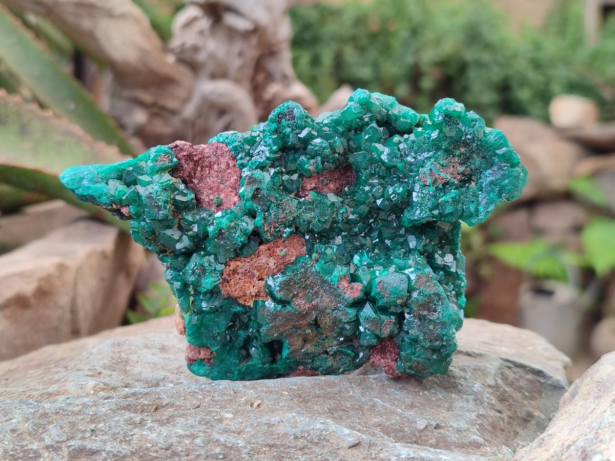 Natural Dioptase on Dolomite Specimens x 2 From Likasi, Congo - Toprock Gemstones and Minerals 