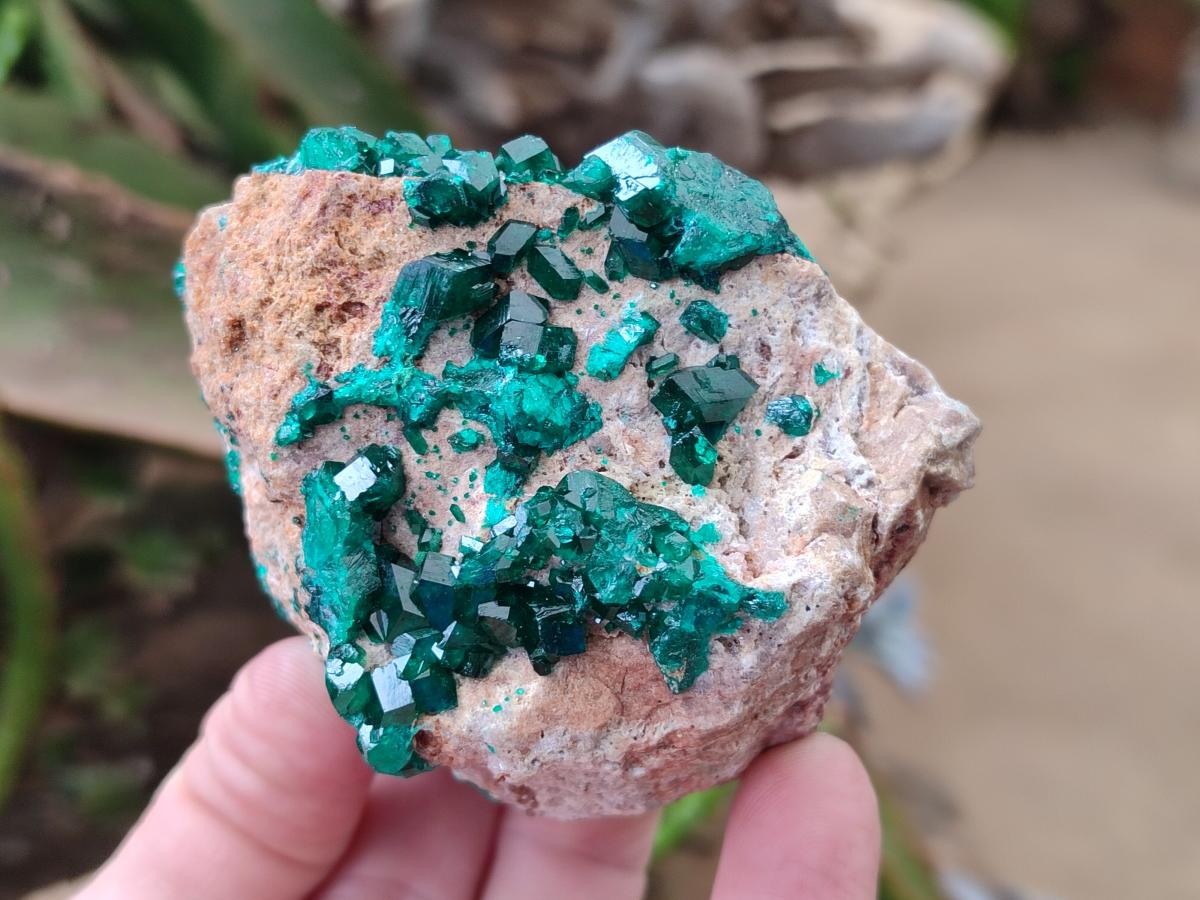Natural Dioptase on Dolomite Specimens x 2 From Likasi, Congo - Toprock Gemstones and Minerals 