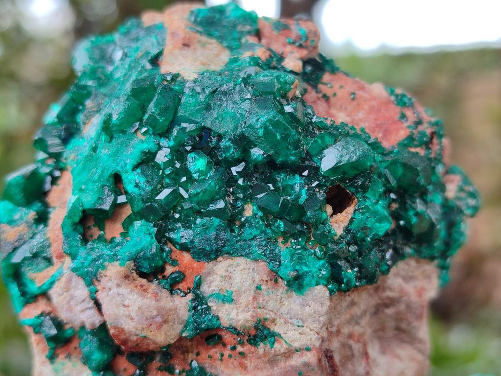 Natural Dioptase on Dolomite Specimens x 2 From Likasi, Congo - Toprock Gemstones and Minerals 