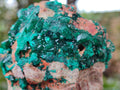 Natural Dioptase on Dolomite Specimens x 2 From Likasi, Congo - Toprock Gemstones and Minerals 