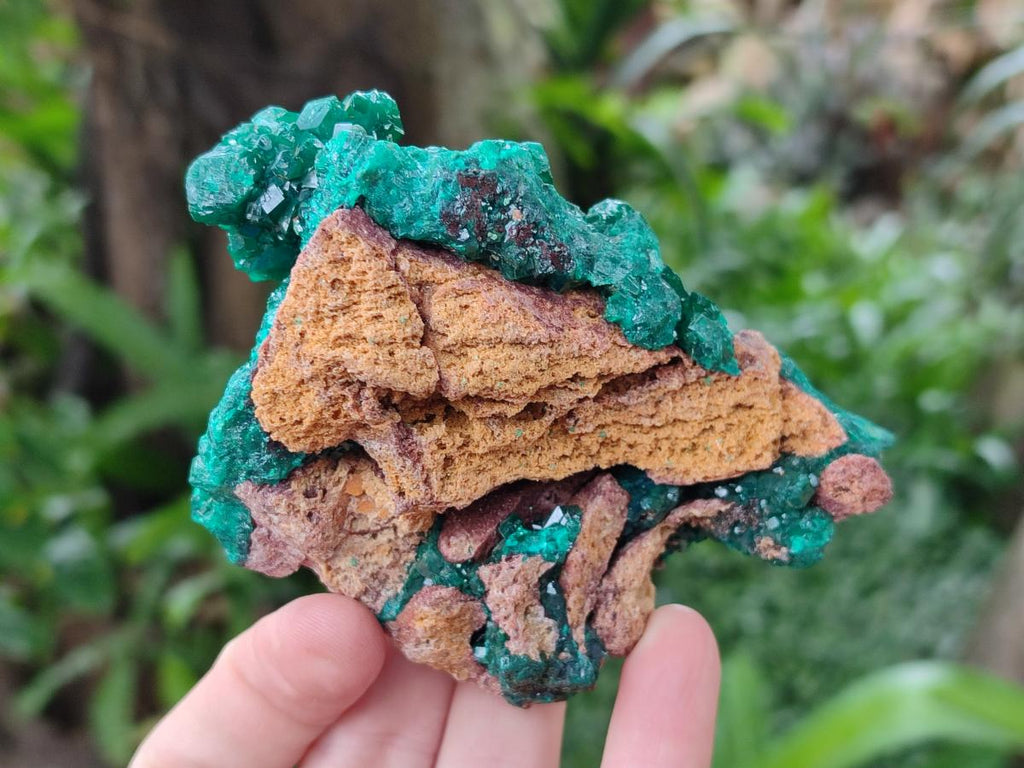 Natural Dioptase on Dolomite Specimens x 2 From Likasi, Congo - Toprock Gemstones and Minerals 