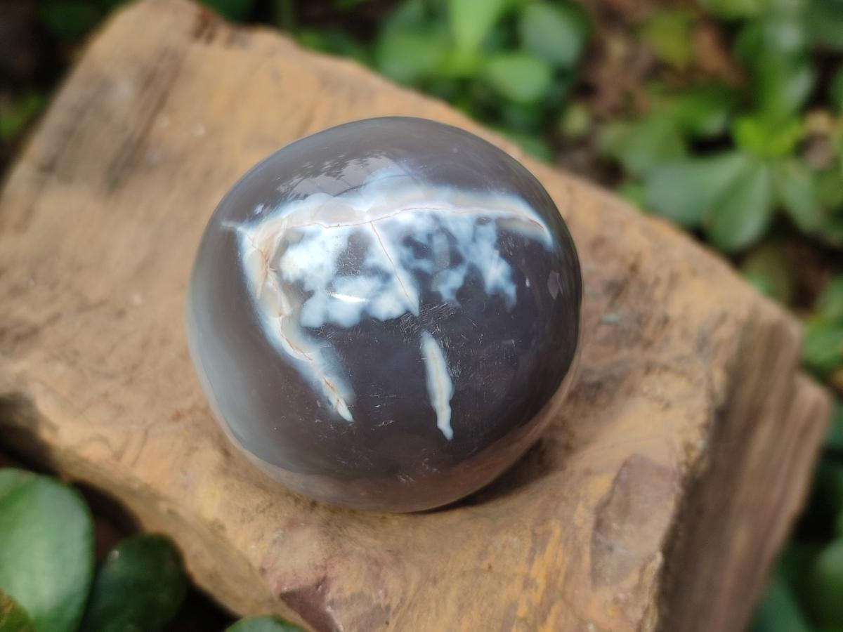 Polished Banded Agate Spheres x 12 From Madagascar - Toprock Gemstones and Minerals 