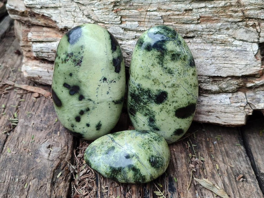 Polished Leopard Stone Galet Free Forms x 7 From Zimbabwe - Toprock Gemstones and Minerals 