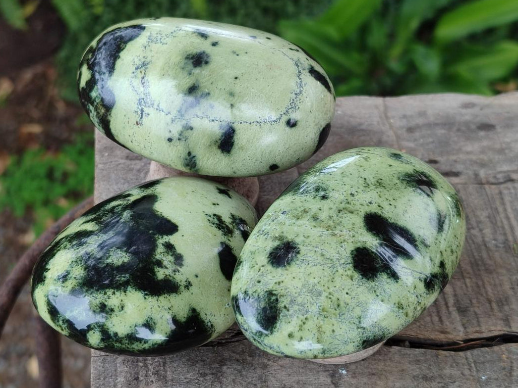 Polished Leopard Stone Galet Free Forms x 7 From Zimbabwe - Toprock Gemstones and Minerals 