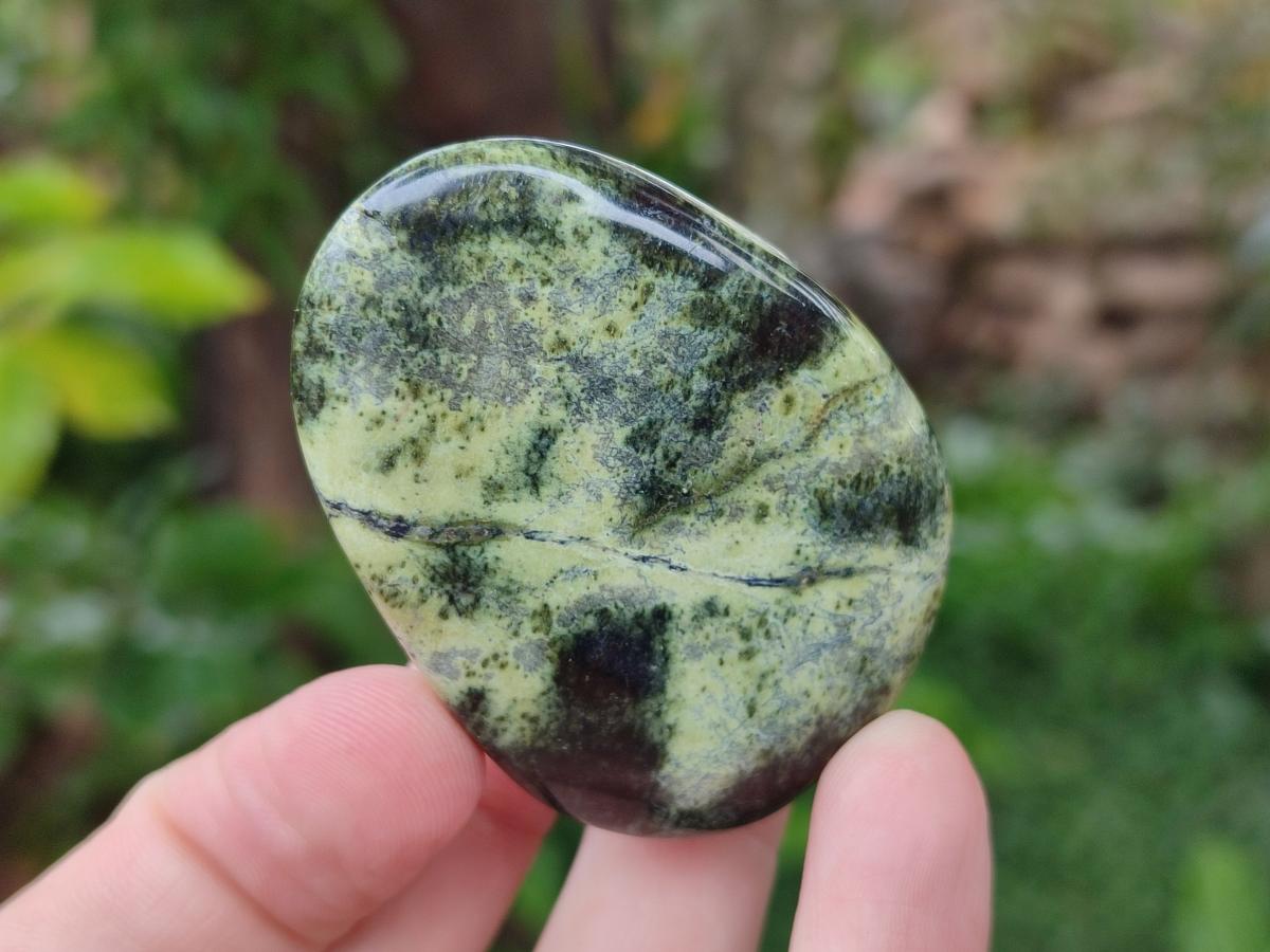 Polished Leopard Stone Galet Free Forms x 7 From Zimbabwe - Toprock Gemstones and Minerals 