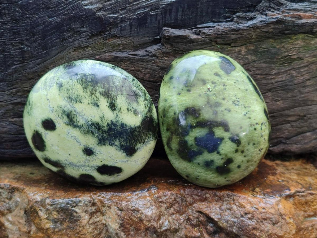 Polished Leopard Stone Galet Free Forms x 7 From Zimbabwe - Toprock Gemstones and Minerals 