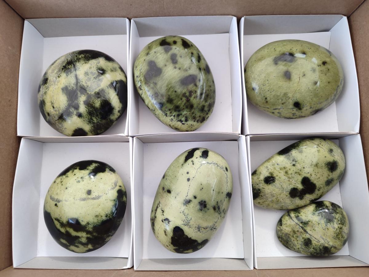 Polished Leopard Stone Galet Free Forms x 7 From Zimbabwe - Toprock Gemstones and Minerals 