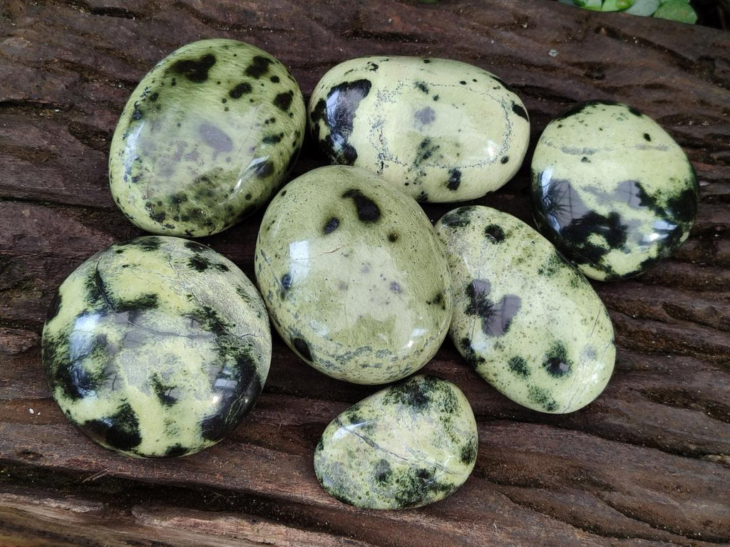 Polished Leopard Stone Galet Free Forms x 7 From Zimbabwe - Toprock Gemstones and Minerals 