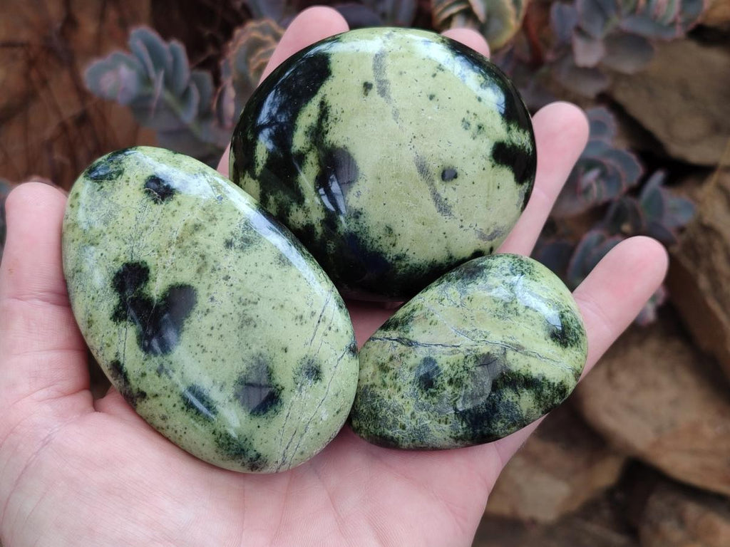Polished Leopard Stone Galet Free Forms x 7 From Zimbabwe - Toprock Gemstones and Minerals 