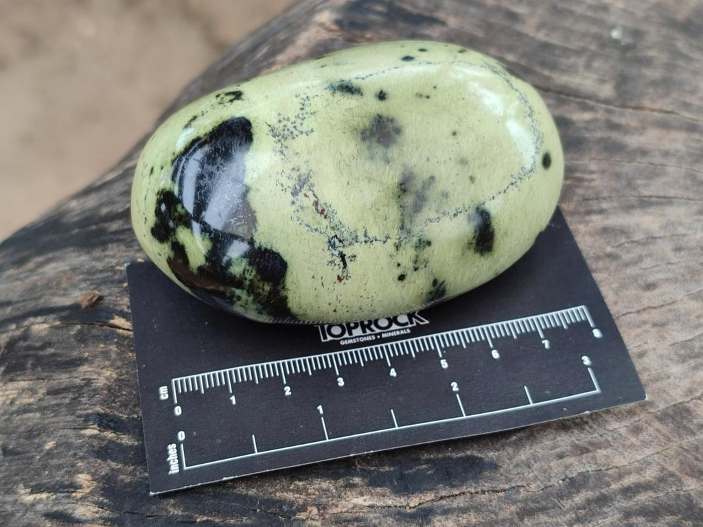 Polished Leopard Stone Galet Free Forms x 7 From Zimbabwe - Toprock Gemstones and Minerals 
