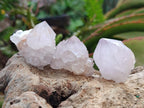 Natural Spirit Amethyst Crystals x 35 From Boekenhouthoek, South Africa - Toprock Gemstones and Minerals 