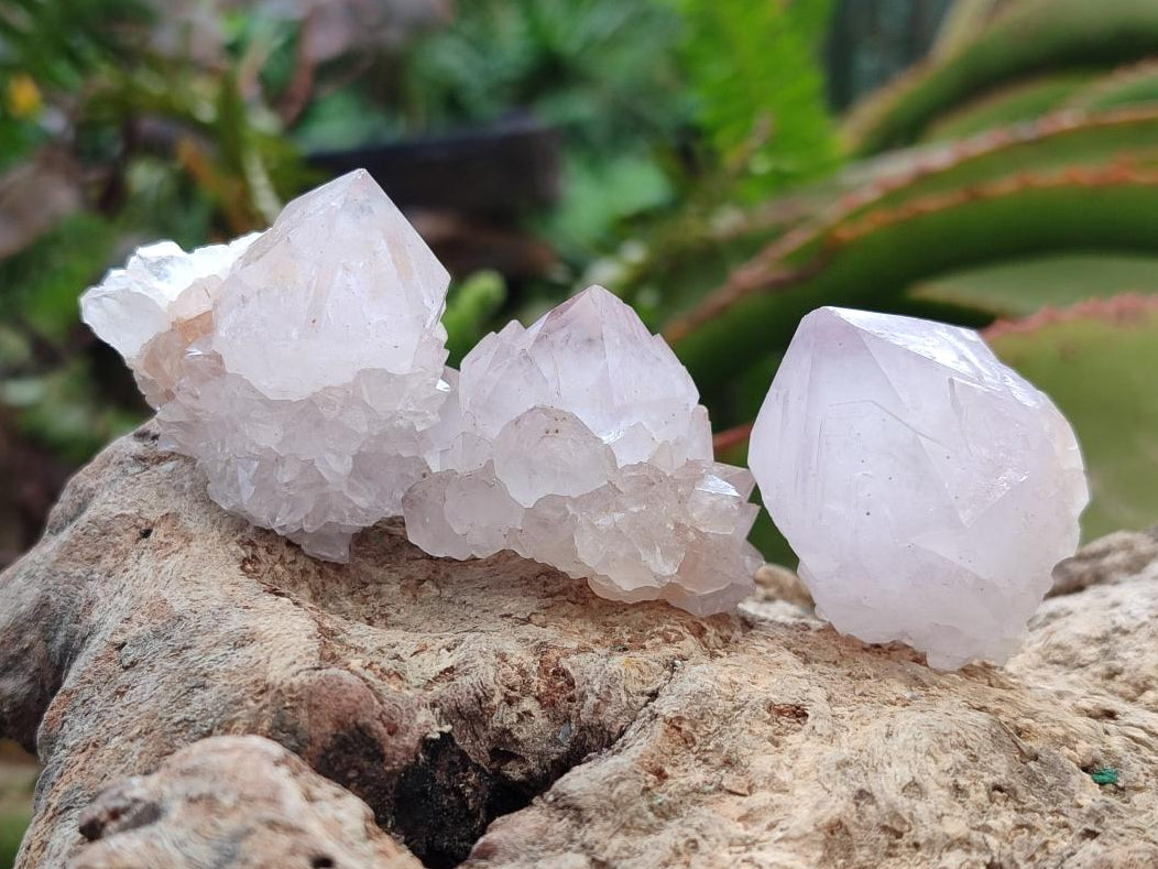 Natural Spirit Amethyst Crystals x 35 From Boekenhouthoek, South Africa - Toprock Gemstones and Minerals 