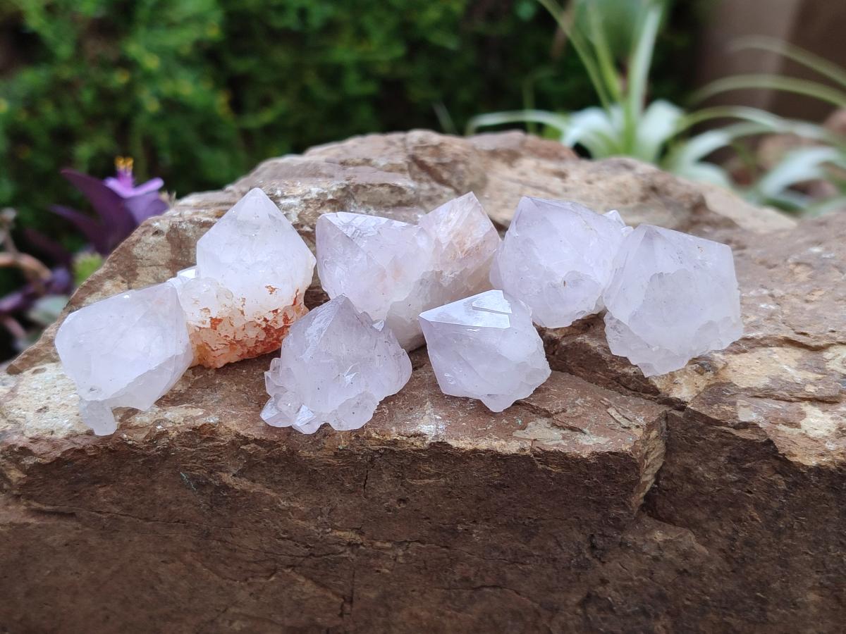 Natural Spirit Amethyst Crystals x 35 From Boekenhouthoek, South Africa - Toprock Gemstones and Minerals 