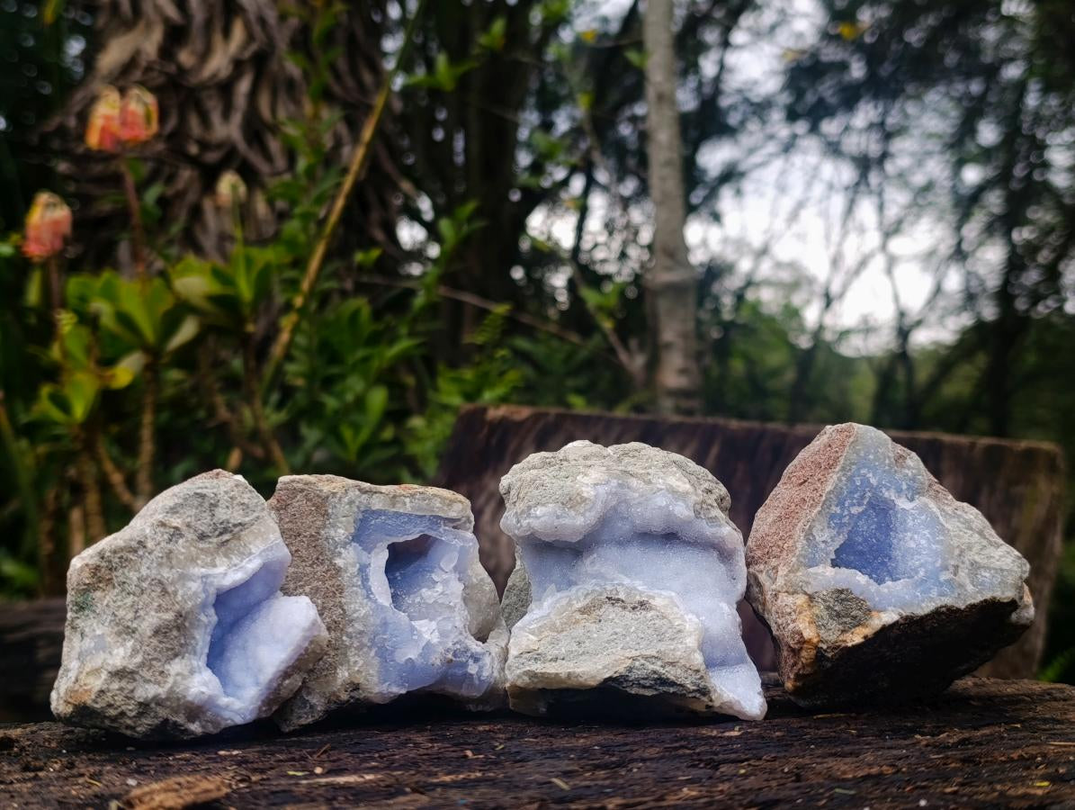 Natural Blue Lace Agate Geode Specimens x 12 From Nsanje, Malawi - Toprock Gemstones and Minerals 