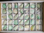 Polished Amazonite Free Forms x 35 From Zimbabwe - Toprock Gemstones and Minerals 