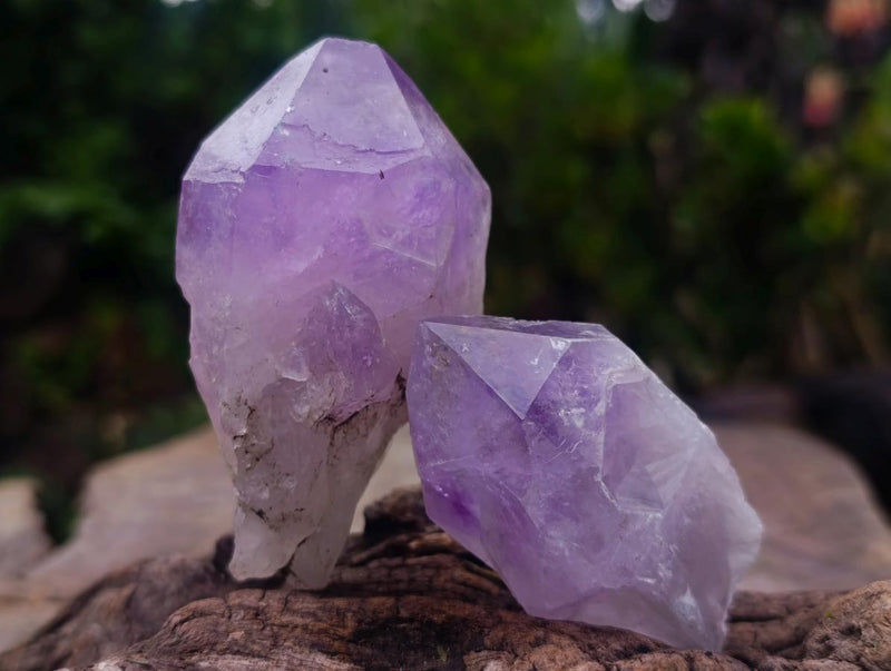Natural Jacaranda Amethyst Single Crystals x 24 From Mumbwa, Zambia - Toprock Gemstones and Minerals 