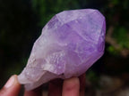 Natural Jacaranda Amethyst Single Crystals x 24 From Mumbwa, Zambia - Toprock Gemstones and Minerals 