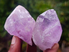 Natural Jacaranda Amethyst Single Crystals x 24 From Mumbwa, Zambia - Toprock Gemstones and Minerals 