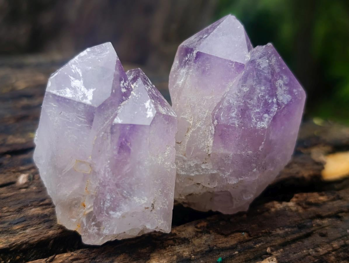 Natural Jacaranda Amethyst Single Crystals x 24 From Mumbwa, Zambia - Toprock Gemstones and Minerals 