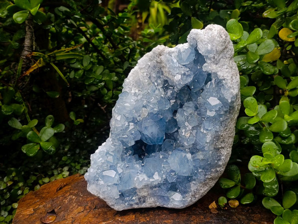Natural Large Blue Celestite Geode Specimen x 1 From Sakoany, Madagascar - Toprock Gemstones and Minerals 