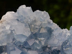 Natural Large Blue Celestite Geode Specimen x 1 From Sakoany, Madagascar - Toprock Gemstones and Minerals 