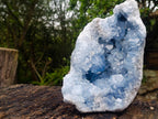 Natural Large Blue Celestite Geode Specimen x 1 From Sakoany, Madagascar - Toprock Gemstones and Minerals 