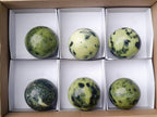 Polished Leopard Stone Spheres x 6 From Zimbabwe - Toprock Gemstones and Minerals 