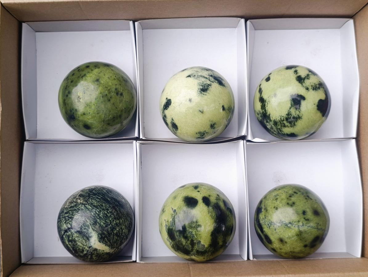 Polished Leopard Stone Spheres x 6 From Zimbabwe - Toprock Gemstones and Minerals 