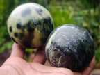 Polished Leopard Stone Spheres x 6 From Zimbabwe - Toprock Gemstones and Minerals 