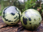 Polished Leopard Stone Spheres x 6 From Zimbabwe - Toprock Gemstones and Minerals 