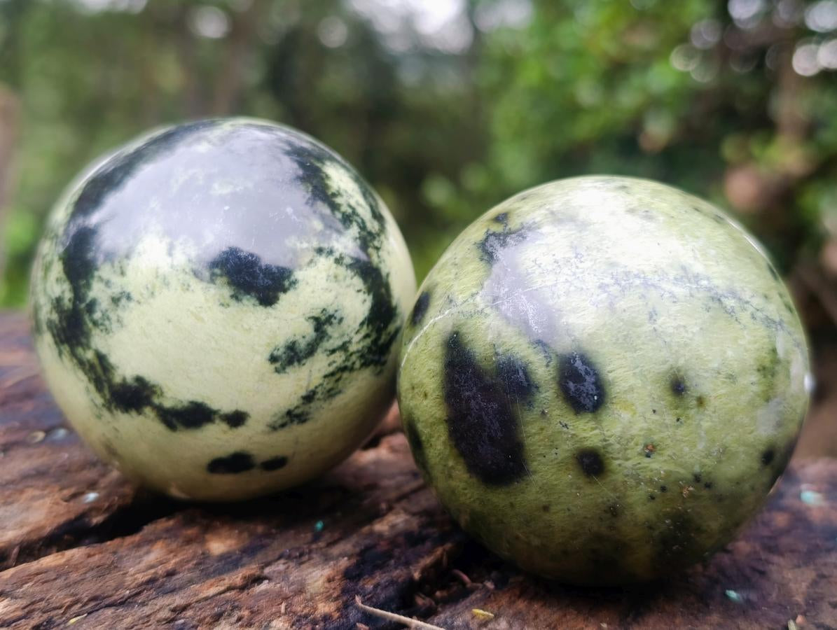 Polished Leopard Stone Spheres x 6 From Zimbabwe - Toprock Gemstones and Minerals 
