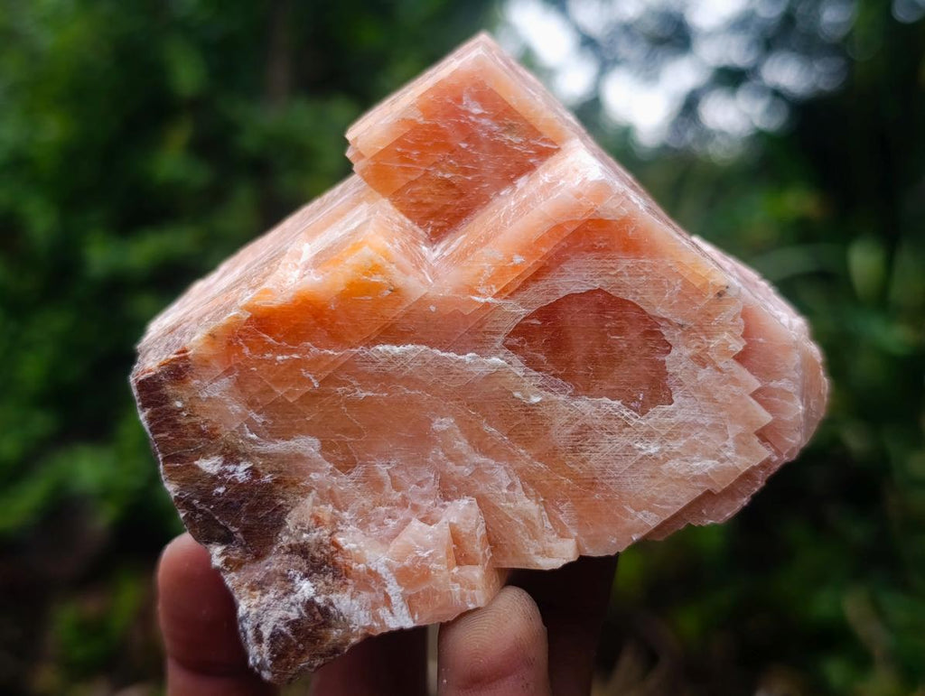 Natural Rhombohedral Sunset Orange Calcite Specimens x 6 From Spitzkop, Namibia - Toprock Gemstones and Minerals 