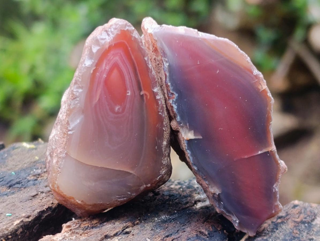 Polished on One Side Red Shashe River Agate Nodules x 20 From Shashe River, Zimbabwe - Toprock Gemstones and Minerals 