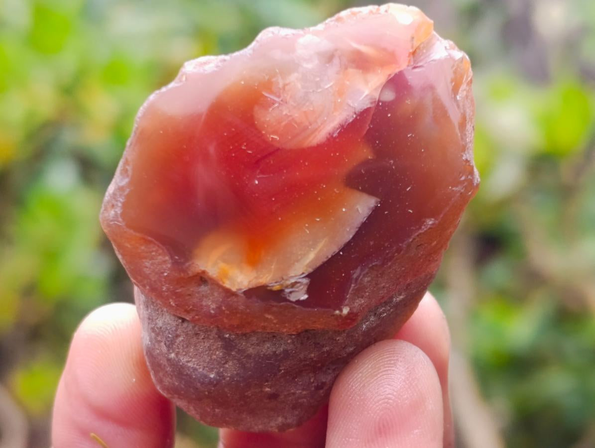Polished on One Side Red Shashe River Agate Nodules x 20 From Shashe River, Zimbabwe - Toprock Gemstones and Minerals 