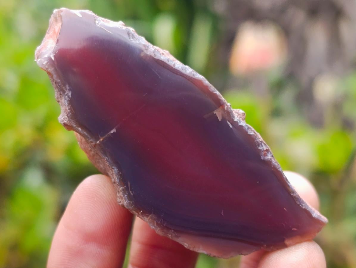 Polished on One Side Red Shashe River Agate Nodules x 20 From Shashe River, Zimbabwe - Toprock Gemstones and Minerals 