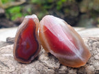 Polished on One Side Red Shashe River Agate Nodules x 20 From Shashe River, Zimbabwe - Toprock Gemstones and Minerals 