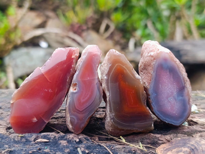 Polished on One Side Red Shashe River Agate Nodules x 20 From Shashe River, Zimbabwe - Toprock Gemstones and Minerals 