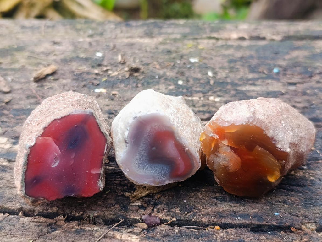 Polished on One Side Red Shashe River Agate Nodules x 20 From Shashe River, Zimbabwe - Toprock Gemstones and Minerals 