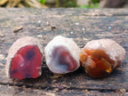 Polished on One Side Red Shashe River Agate Nodules x 20 From Shashe River, Zimbabwe - Toprock Gemstones and Minerals 