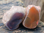 Polished on One Side Red Shashe River Agate Nodules x 20 From Shashe River, Zimbabwe - Toprock Gemstones and Minerals 