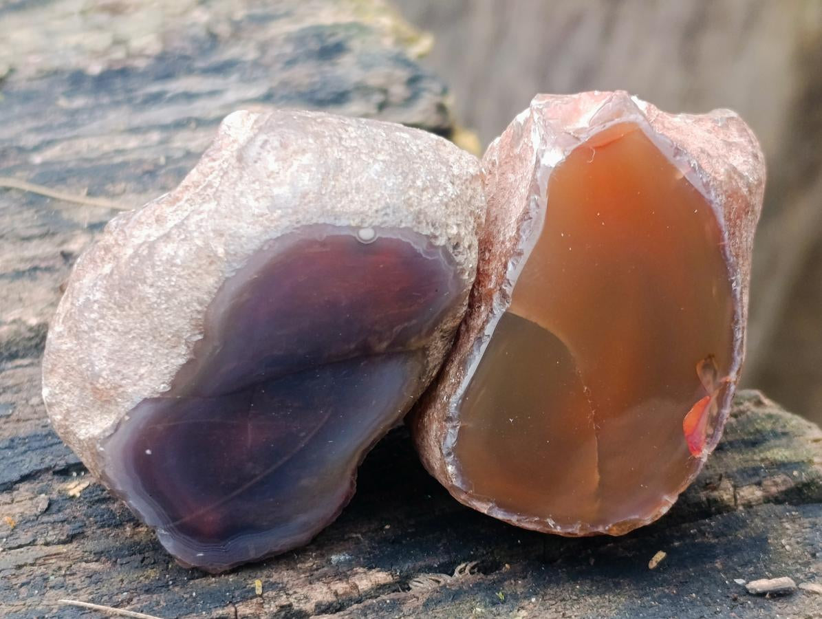 Polished on One Side Red Shashe River Agate Nodules x 20 From Shashe River, Zimbabwe - Toprock Gemstones and Minerals 