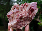 Natural Red Hematoid Quartz Clusters x 2 From Karoi, Zimbabwe - Toprock Gemstones and Minerals 