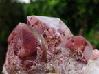 Natural Red Hematoid Quartz Clusters x 2 From Karoi, Zimbabwe - Toprock Gemstones and Minerals 