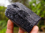 Natural Schorl Black Tourmaline Specimens x 6 From Erongo, Namibia - Toprock Gemstones and Minerals 