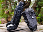 Natural Schorl Black Tourmaline Specimens x 6 From Erongo, Namibia - Toprock Gemstones and Minerals 