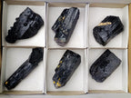 Natural Schorl Black Tourmaline Specimens x 6 From Erongo, Namibia - Toprock Gemstones and Minerals 
