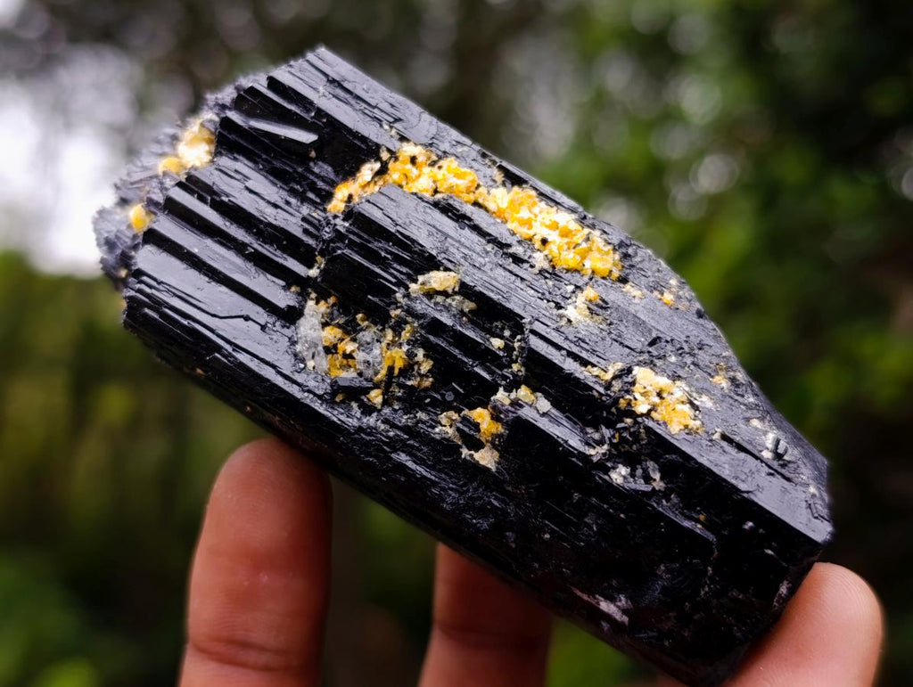 Natural Schorl Black Tourmaline Specimens x 6 From Erongo, Namibia - Toprock Gemstones and Minerals 