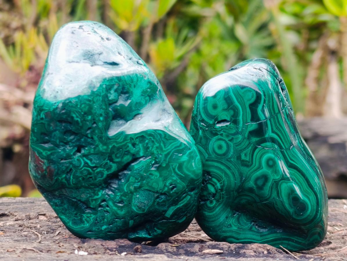 Polished Flower Banded Malachite Free Forms x 6 From Congo - Toprock Gemstones and Minerals 
